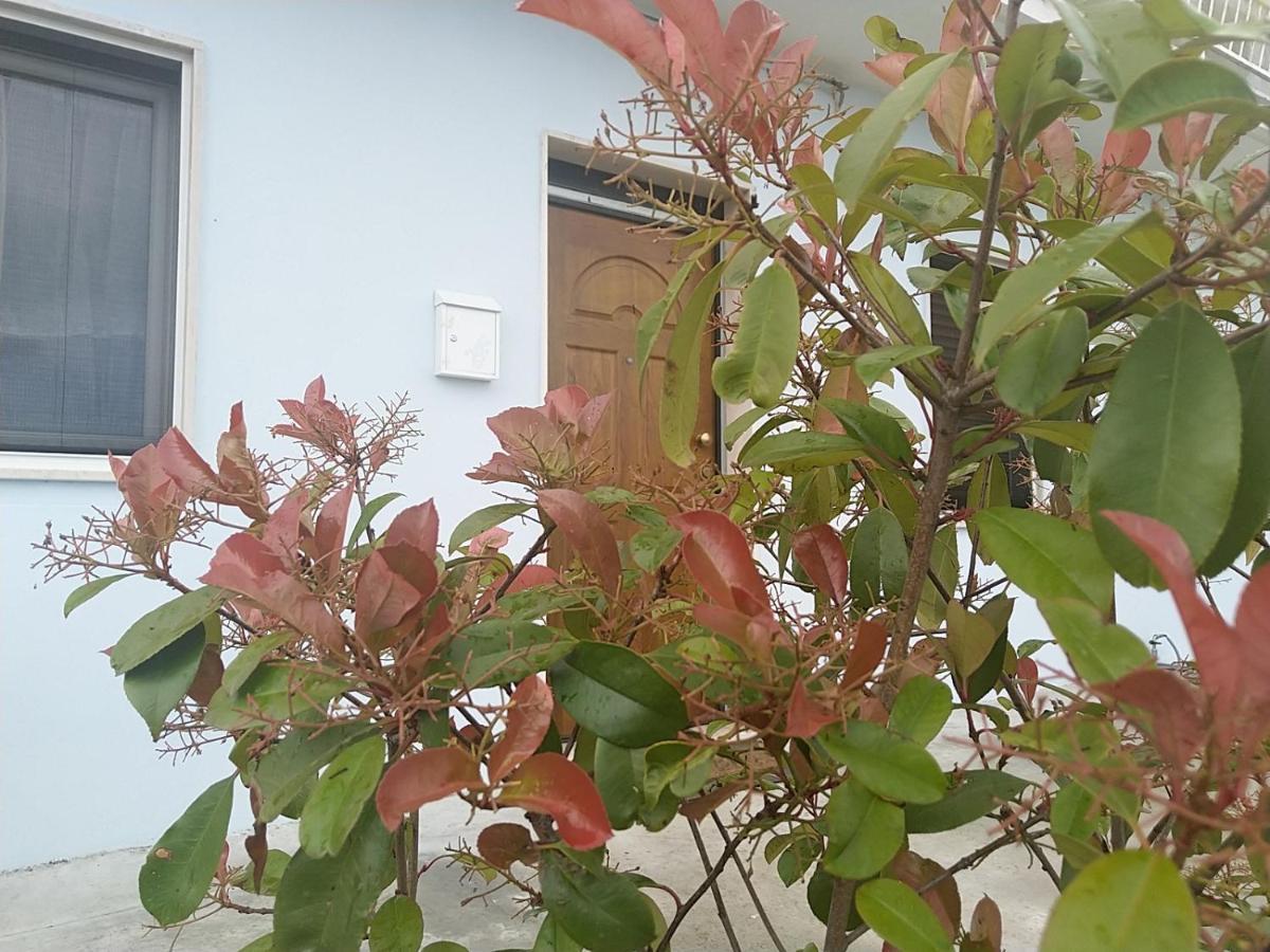 Rosa Dei Venti House Villa Campomarino  Exterior photo